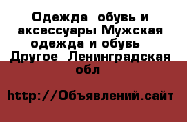 Одежда, обувь и аксессуары Мужская одежда и обувь - Другое. Ленинградская обл.